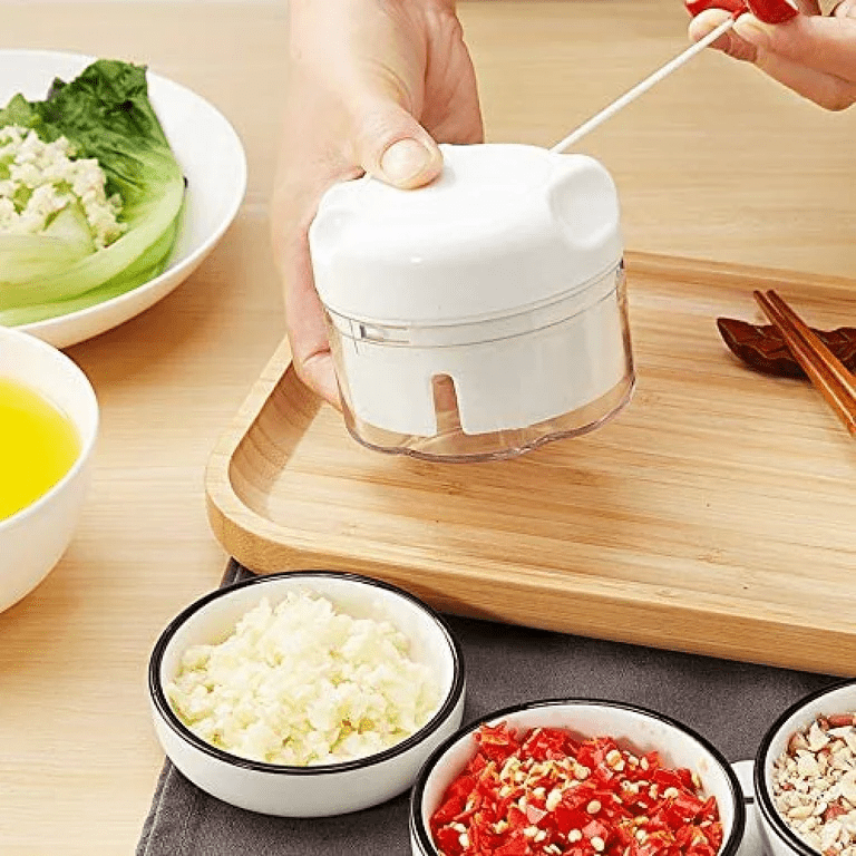 manual hand chopper